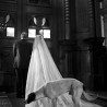 Fotos inusitadas de casamentos: o “olho do fotógrafo”